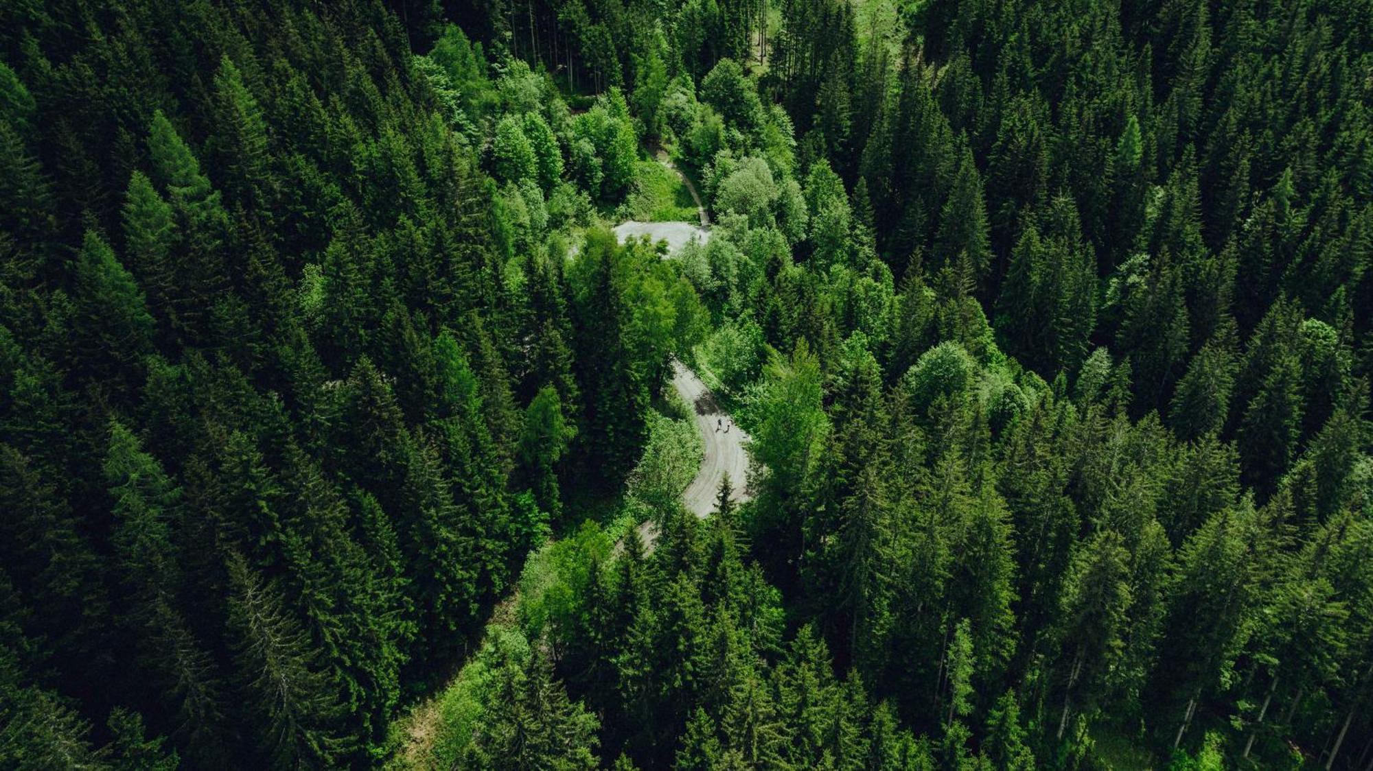 Holzhotel Forsthofalm Леоганг Экстерьер фото